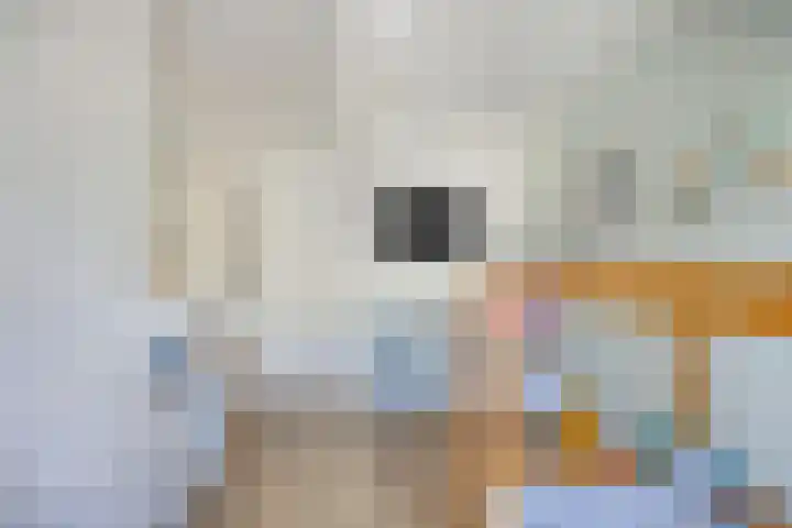 Spectrumsingel 147 Zoetermeer thumbnail 32