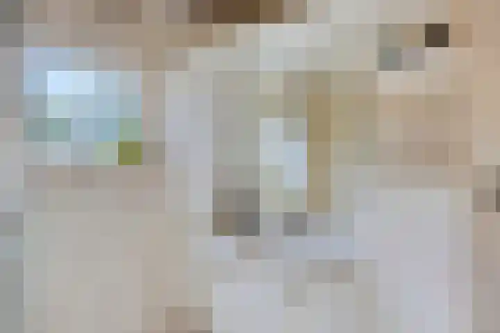 Spectrumsingel 147 Zoetermeer thumbnail 40