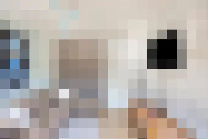 Spectrumsingel 147 Zoetermeer thumbnail 48