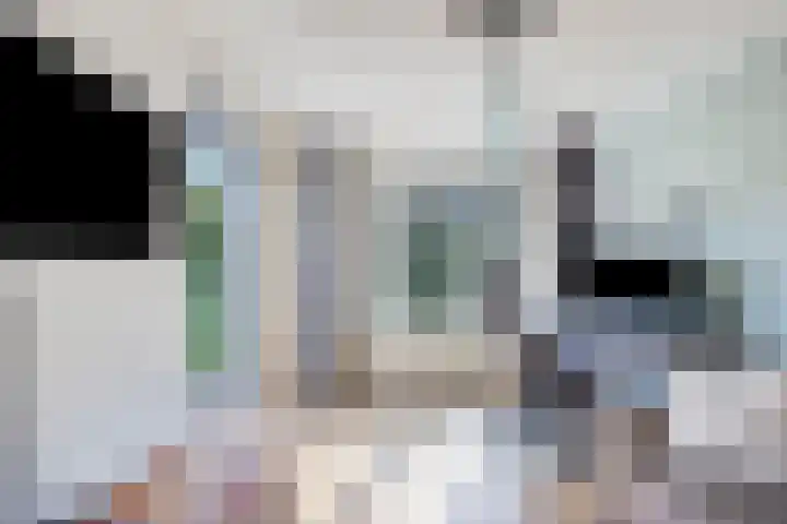 Spectrumsingel 147 Zoetermeer thumbnail 50