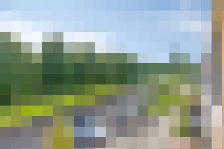Spectrumsingel 147 Zoetermeer thumbnail 54