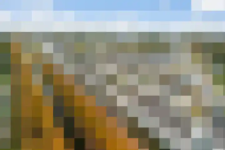 Spectrumsingel 159 in Zoetermeer