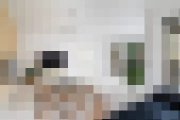 Spectrumsingel 159 Zoetermeer thumbnail 18