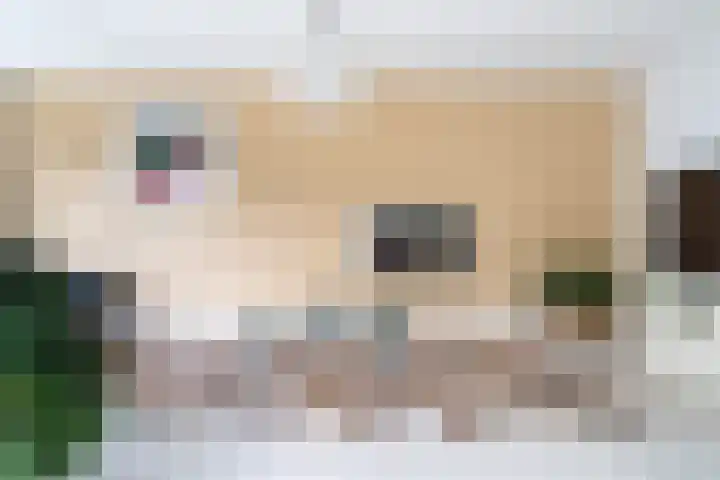 Spectrumsingel 159 Zoetermeer thumbnail 19