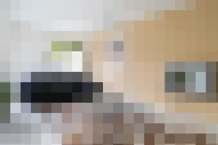 Spectrumsingel 159 Zoetermeer thumbnail 20