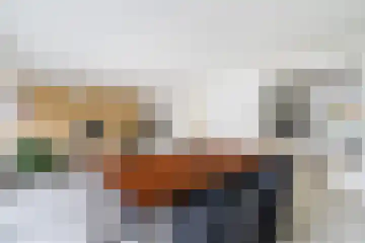 Spectrumsingel 159 Zoetermeer thumbnail 24
