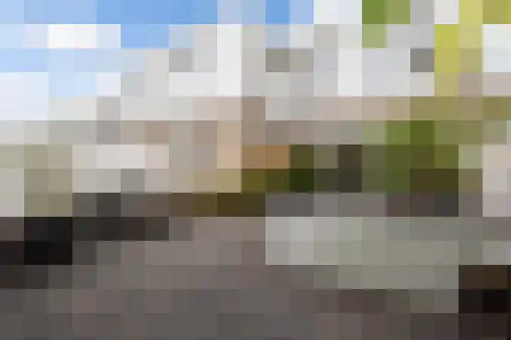 Spectrumsingel 159 Zoetermeer thumbnail 34
