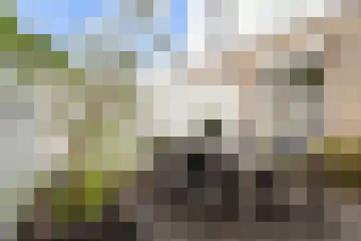 Spectrumsingel 159 Zoetermeer thumbnail 35