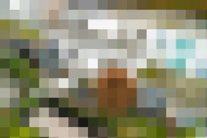 Spectrumsingel 159 Zoetermeer thumbnail 38