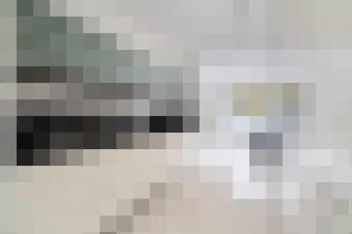 Spectrumsingel 159 Zoetermeer thumbnail 39