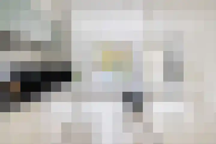 Spectrumsingel 159 Zoetermeer thumbnail 41