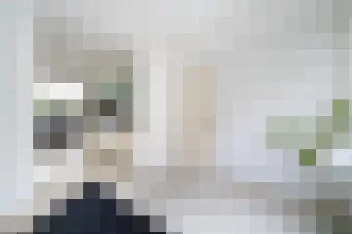 Spectrumsingel 159 Zoetermeer thumbnail 43
