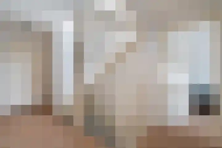 Spectrumsingel 159 Zoetermeer thumbnail 45