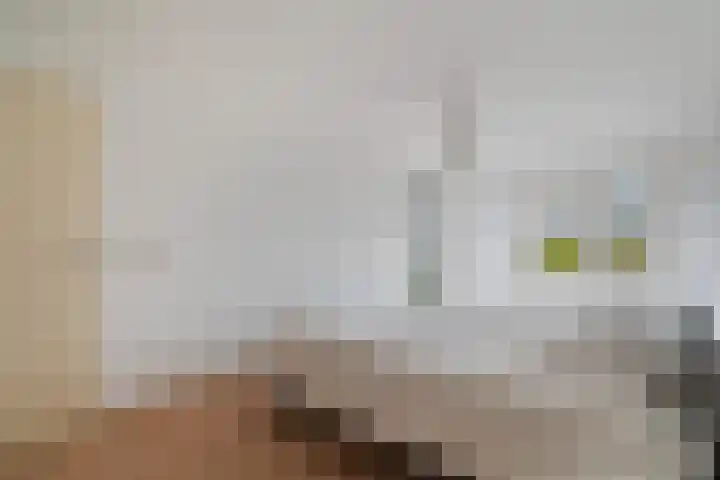 Spectrumsingel 159 Zoetermeer thumbnail 46