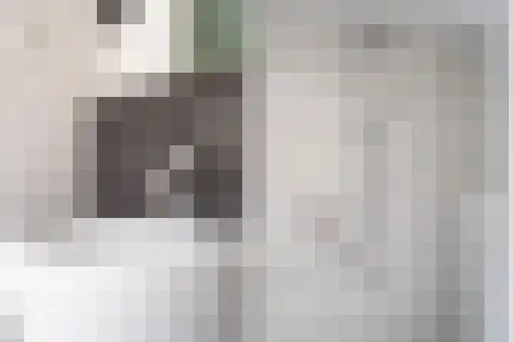 Spectrumsingel 159 Zoetermeer thumbnail 59