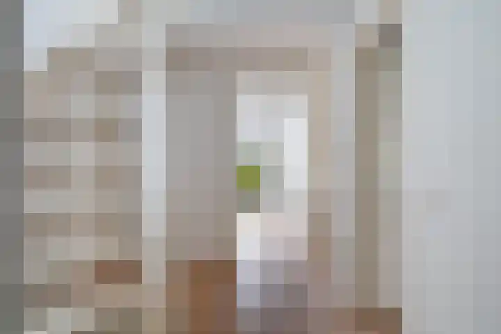 Spectrumsingel 159 Zoetermeer thumbnail 61