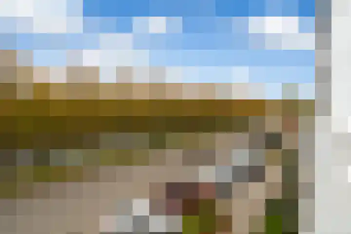 Spectrumsingel 159 Zoetermeer thumbnail 66