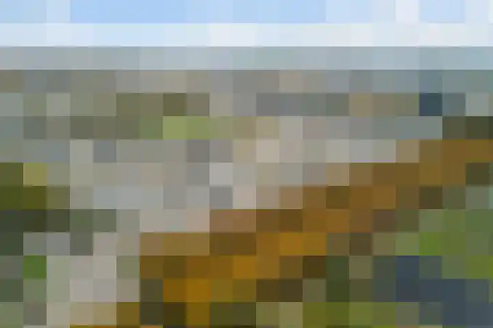 Spectrumsingel 159 Zoetermeer thumbnail 7