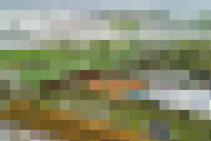 Spectrumsingel 159 Zoetermeer thumbnail 70