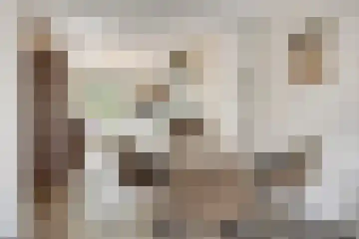 Spectrumsingel 183 Zoetermeer thumbnail 11