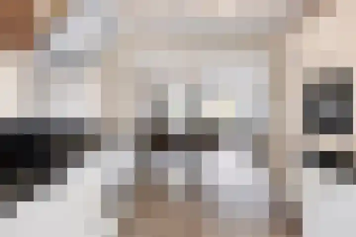 Spectrumsingel 183 Zoetermeer thumbnail 17