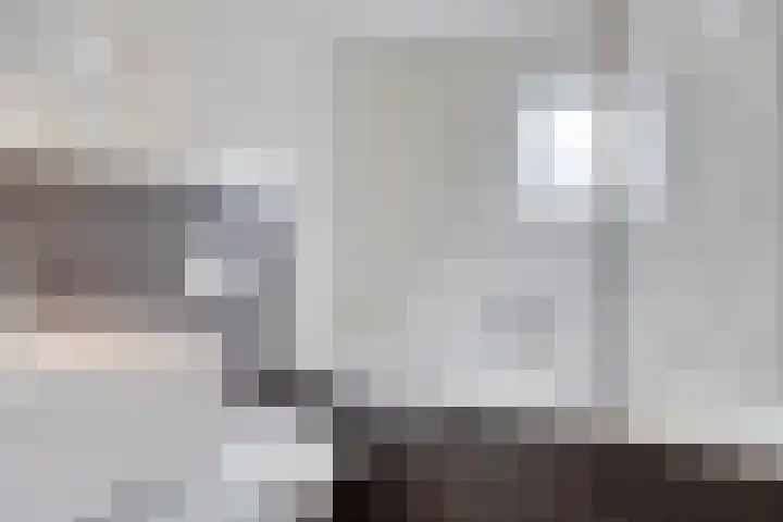 Spectrumsingel 183 Zoetermeer thumbnail 20