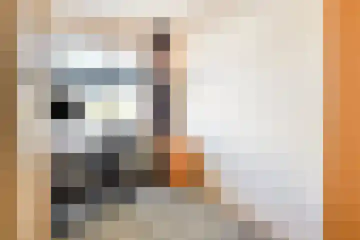 Spectrumsingel 183 Zoetermeer thumbnail 25