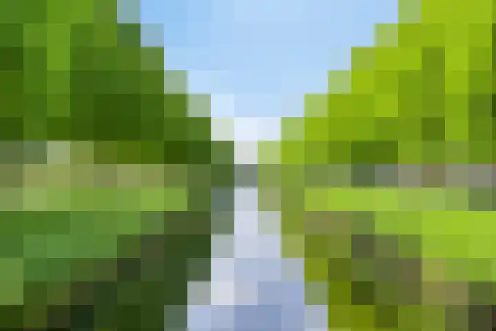 Spectrumsingel 183 Zoetermeer thumbnail 34