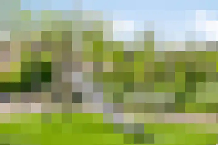 Spectrumsingel 183 Zoetermeer thumbnail 35