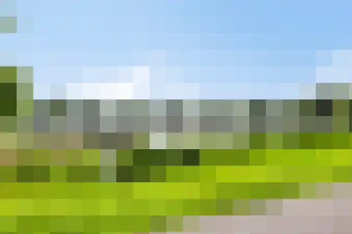 Spectrumsingel 183 Zoetermeer thumbnail 37