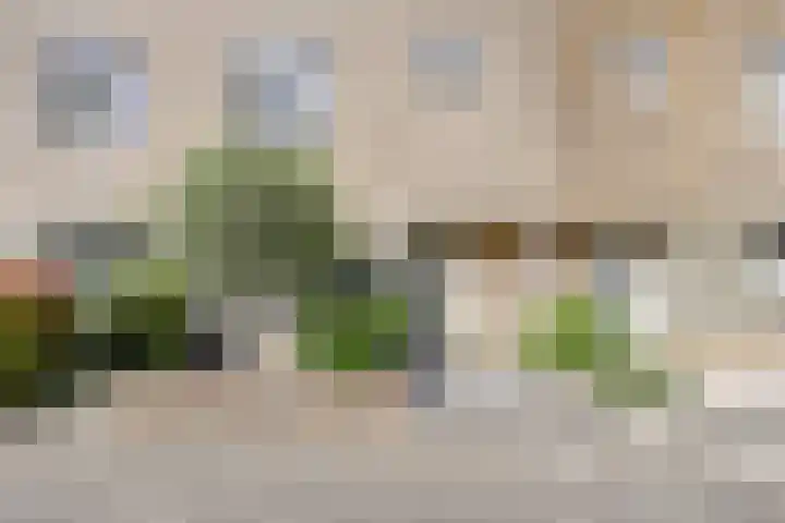 Spectrumsingel 183 Zoetermeer thumbnail 5