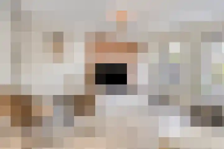 Spectrumsingel 183 Zoetermeer thumbnail 7