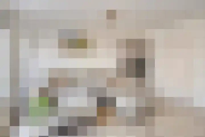 Spectrumsingel 183 Zoetermeer thumbnail 9