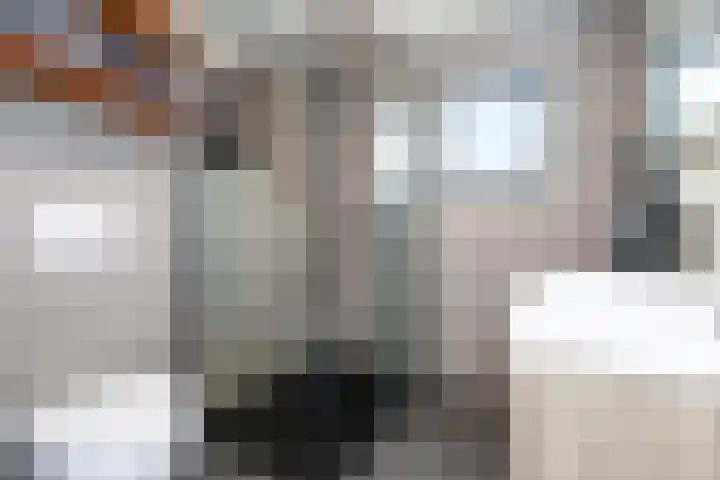 Spectrumsingel 191 Zoetermeer thumbnail 19