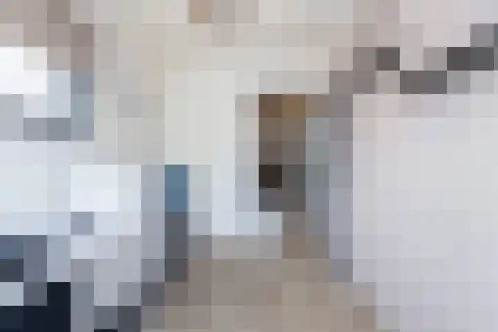 Spectrumsingel 191 Zoetermeer thumbnail 27