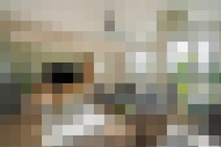Spectrumsingel 237 Zoetermeer thumbnail 10