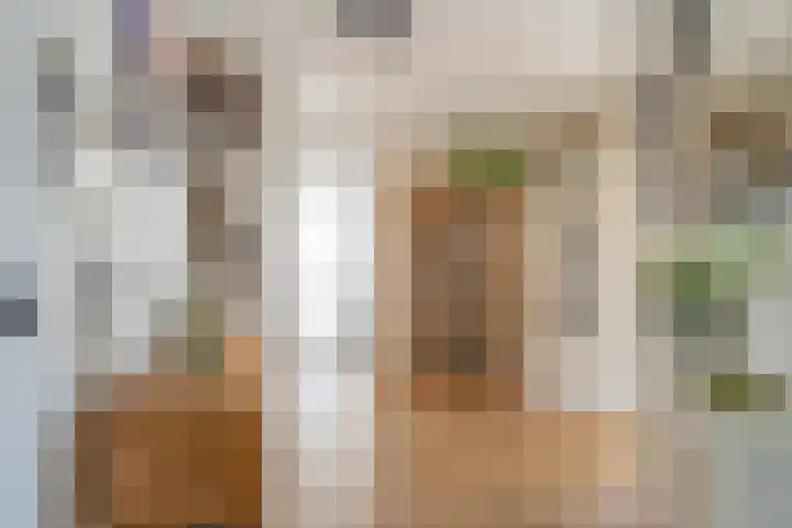 Spectrumsingel 237 Zoetermeer thumbnail 23