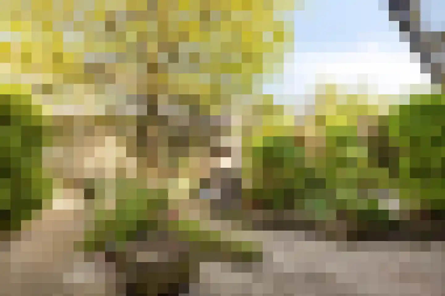 Spectrumsingel 29 Zoetermeer thumbnail 10