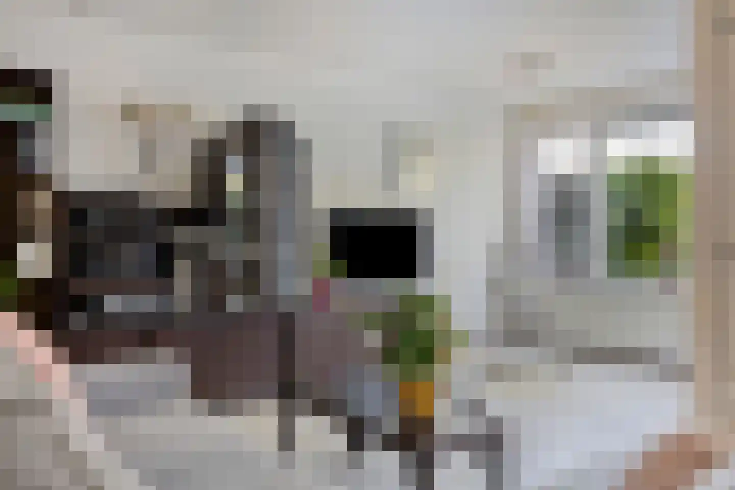 Spectrumsingel 29 Zoetermeer thumbnail 5
