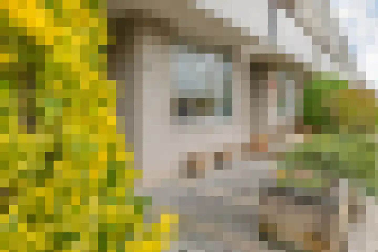 Spectrumsingel 5 Zoetermeer thumbnail 38