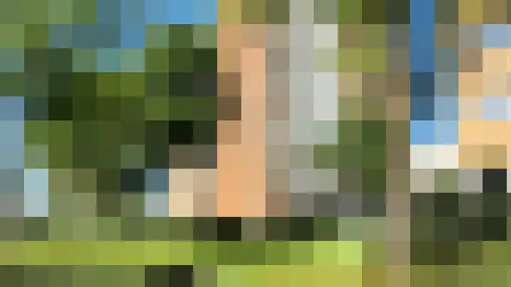 Speedwellstraat 214 in Rotterdam