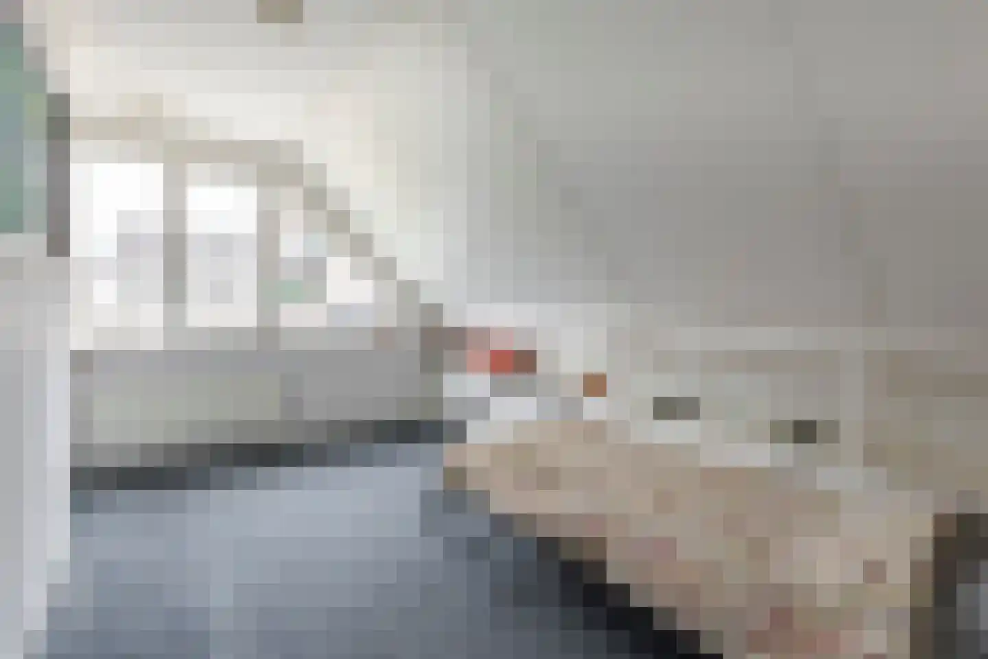 Speedwellstraat 214 Rotterdam thumbnail 18