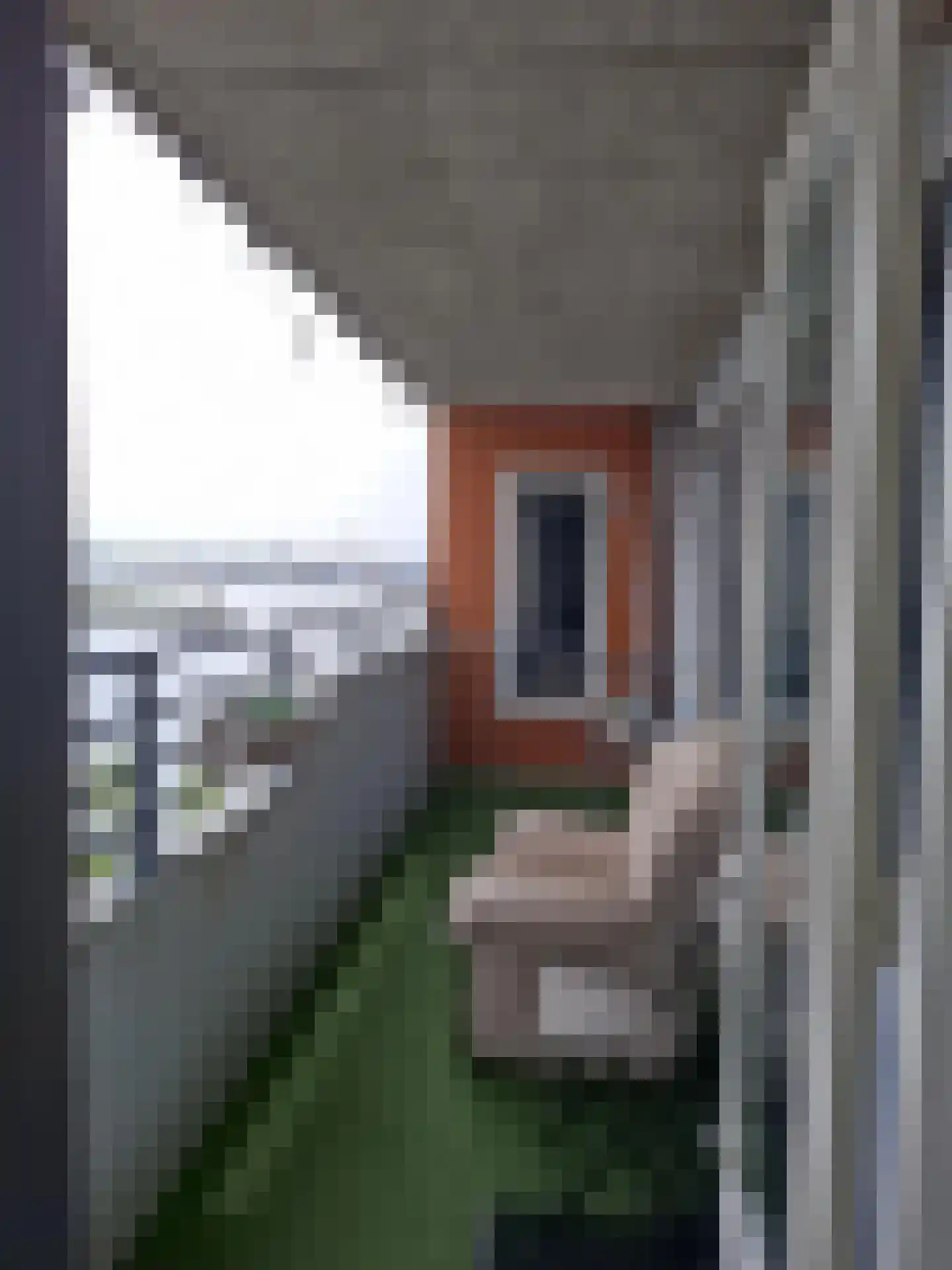 Speedwellstraat 254 Rotterdam thumbnail 11