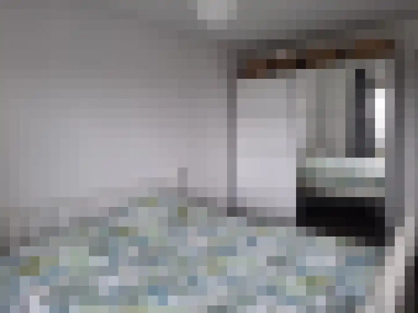 Speedwellstraat 254 Rotterdam thumbnail 17