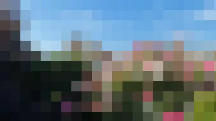 Speedwellstraat 338 in Rotterdam