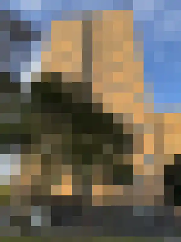 Speedwellstraat 34 Rotterdam thumbnail 16