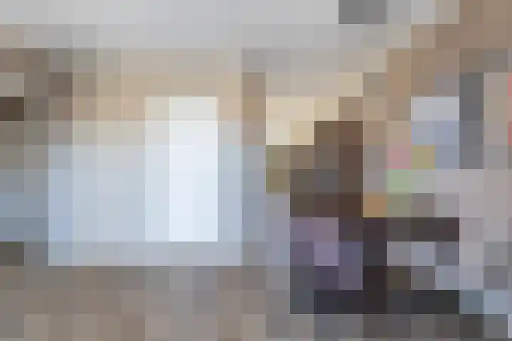 Speelbrinkweg 14 't Harde thumbnail 12