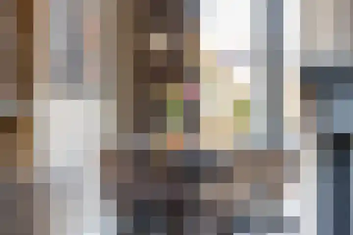 Speelbrinkweg 14 't Harde thumbnail 20