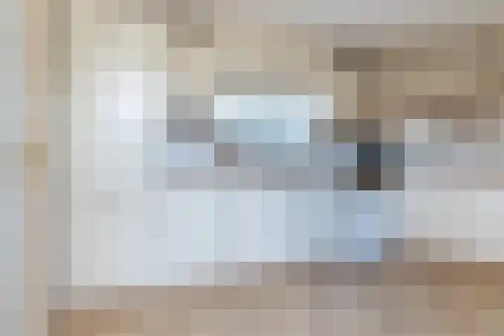Speelbrinkweg 14 't Harde thumbnail 25