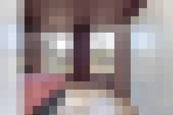 Speelbrinkweg 14 't Harde thumbnail 28